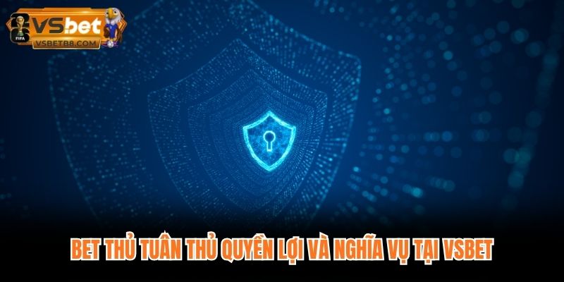 bet thủ tuân thủ quyền lợi và nghĩa vụ tại VSBET