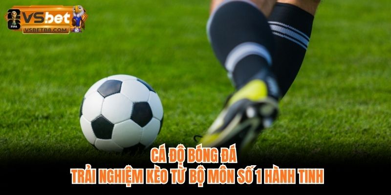 Cá Cược Bóng Đá VSBET