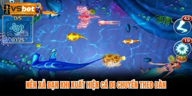 Nên xả đạn khi xuất hiện cá di chuyển theo đàn