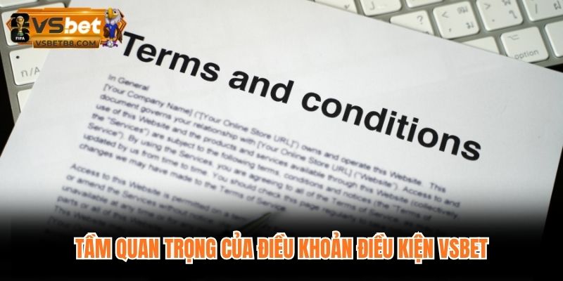 Tầm quan trọng của điều khoản điều kiện VSBET