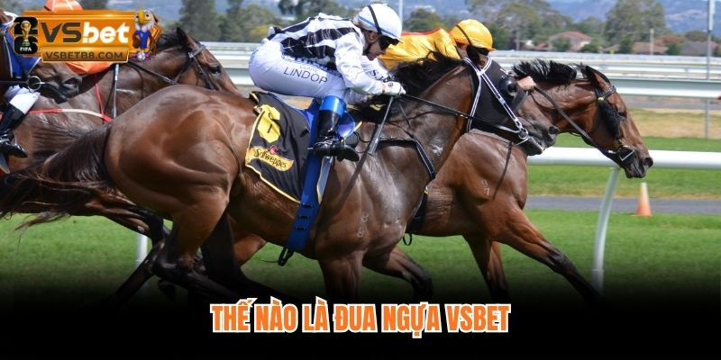 Thế nào là đua ngựa VSBET